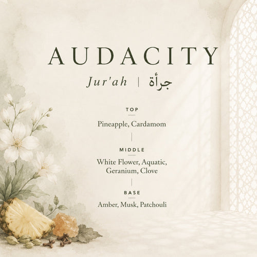 Nadwa Refill — Audacity